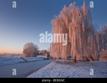 Il Bossche Broek prima dell'alba coperto con maturi e neve fotografato dal citywall in Den Bosch Foto Stock