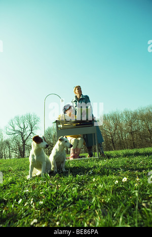 Ufficio Outdoor scena, ufficio lavoratori messa in pausa di lavoro, cercando di distanza, cani seduti in primo piano Foto Stock