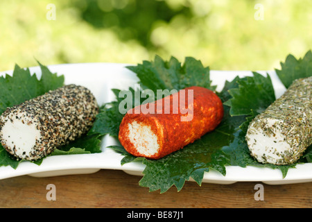 Spiced formaggi di capra Foto Stock