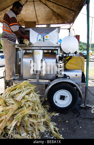 WEST INDIES Caraibi Grenadine Grenada St George Parrocchia Grand Anse uomo alimentazione di canna da zucchero in un mobile centrifuga di canna da zucchero Foto Stock