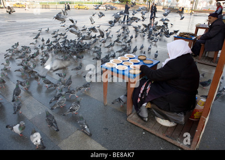 Senior donna vendita di sementi di uccelli Istanbul Foto Stock