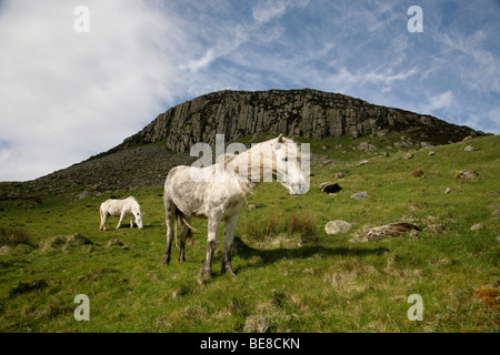 Centro per la pace del mondo e la salute sull'isola di Arran, Scozia Foto Stock