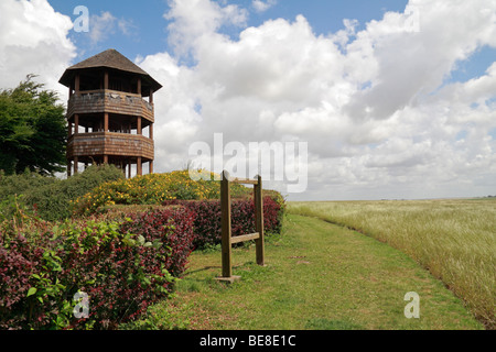 Memorial tower e la piattaforma di osservazione accanto alla battaglia di Crecy Battlefield, il dipartimento della Somme, Francia. Foto Stock