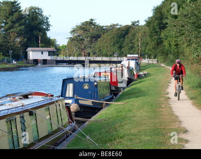 Uomo in bicicletta lungo il Gloucester e nitidezza Canal percorso. Foto Stock