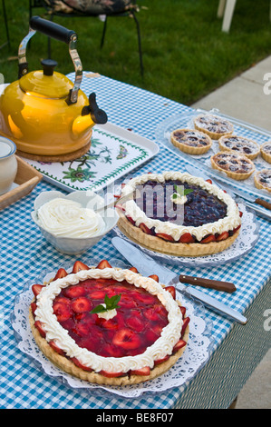 Zona picnic a buffet dessert mirtillo frutta fragola tort torta teiera Foto Stock