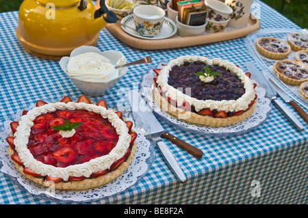 Zona picnic a buffet dessert mirtillo frutta fragola tort torta Foto Stock