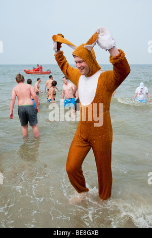 Un giovane uomo vestito come un coniglietto di pasqua si erge nel Mare del Nord in occasione della tradizionale Renesse Paasduik Pasqua (Easter immersioni). Foto Stock