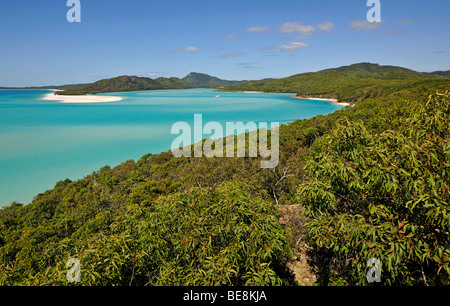 Vista dalla collina ingresso su Whitehaven Beach, Whitsunday Island, Whitsunday Islands National Park, Queensland, Australia Foto Stock