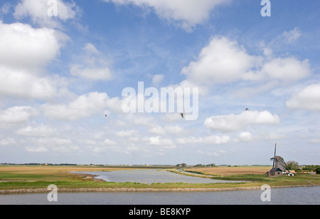 Zomers zicht op polder molen en het Noorden op Texel en de bol. Plas dient als hoogwatervluchtplaats Foto Stock