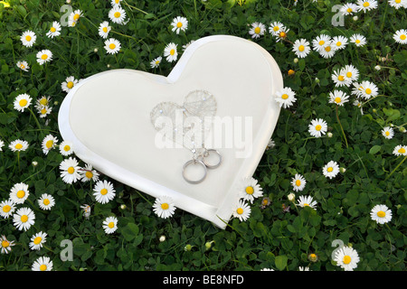 Cuore di anello a forma di cuscino con gli anelli di nozze in erba con margherite Foto Stock