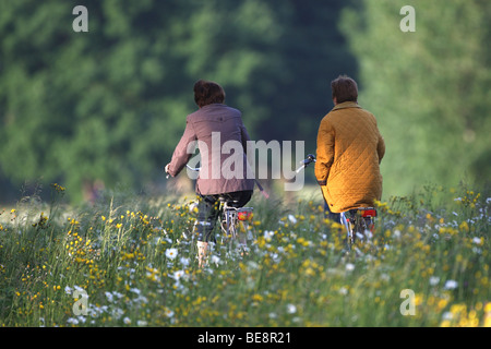 Fietsers op dijk tusen bloemen, motociclisti Belgi sulla diga tra fiori, Belgio Foto Stock