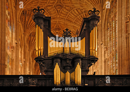 Organo e gotico vaulting ventola nella Cappella del King's College, fondata nel 1441 dal Re Enrico VI., King's Parade, Cambridge, Cambridges Foto Stock