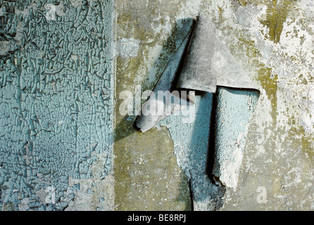 Parete con peeling e vernice vecchia, staccato di carta da parati, danni causati dall'umidità, inabitabile home, Duisburg-Hochfeld, la zona della Ruhr, Nord Foto Stock