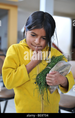 CAJABAMBA PERÙ - 6 settembre: bambina vendita al mercato locale, Perù il 6 settembre 2009 Foto Stock