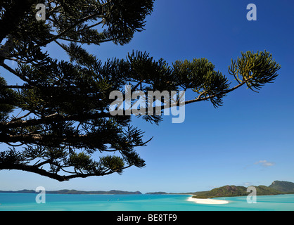 Vista dalla collina ingresso su Whitehaven Beach, Whitsunday Island, Whitsunday Islands National Park, Queensland, Australia Foto Stock