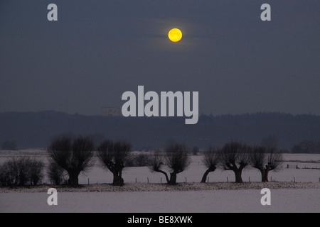 Coperta di neve fiume foreland con luna e Wageningse berg sullo sfondo Foto Stock