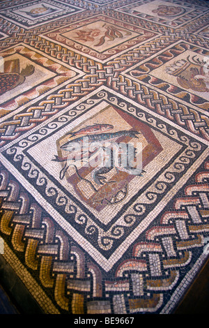 Italia Lazio Roma Vaticano Città Museo Dettaglio di un mosaico romano sul pavimento della sala di animali nel Palazzo del Belvedere Foto Stock