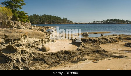 Arenaria formazioni rocciose lungo la riva, Drumbeg Parco Provinciale, Gabriola Island, BC, Canada Foto Stock