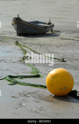 Giallo boa e barca Foto Stock