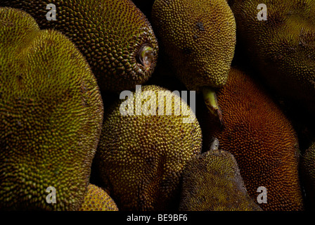 Close-up di Jackfruit Foto Stock