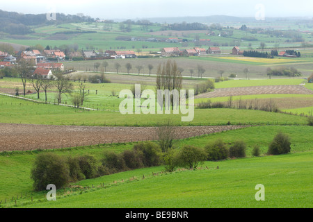 Bocagelandschap incontrato hagen en bomen, Westvlaamse Heuvels, Belgi Bocage paesaggio con siepi e alberi, Belgio Foto Stock