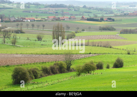 Bocagelandschap incontrato hagen en bomen, Westvlaamse Heuvels, Belgi Bocage paesaggio con siepi e alberi, Belgio Foto Stock