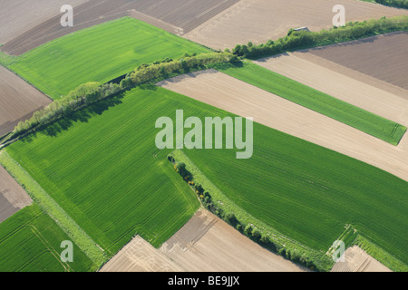 Zona agricola con i campi, praterie e siepi dall'aria, Belgio Foto Stock