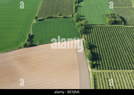 Zona agricola con i campi, praterie e siepi dall'aria, Belgio Foto Stock