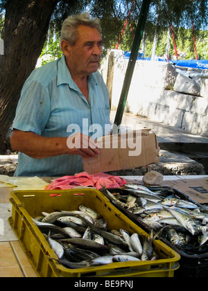 Croazia; Hrvartska; Kroatien; Sebenico-Knin, Privč Isola, Privč Luka, pescatore locale con il pesce per la vendita Foto Stock