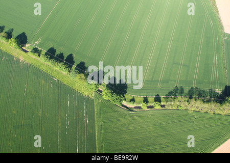 Zona agricola con i campi, siepi e praterie dall'aria, Belgio Foto Stock