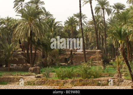 Le case costruite in cob sul limoso rive del Nilo in Egitto Foto Stock