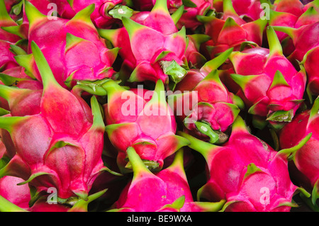 Dragon pitaya di frutta Foto Stock