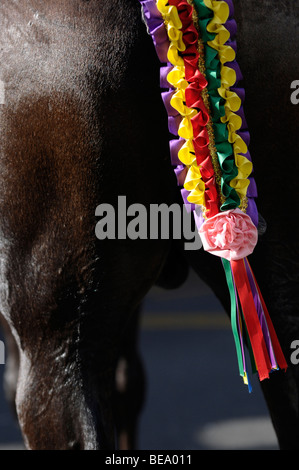 In prossimità di un cavallo è arredata di coda e quarti posteriori durante il Mare de Deu de Gràcia Festival in Mahon Minorca. Foto Stock