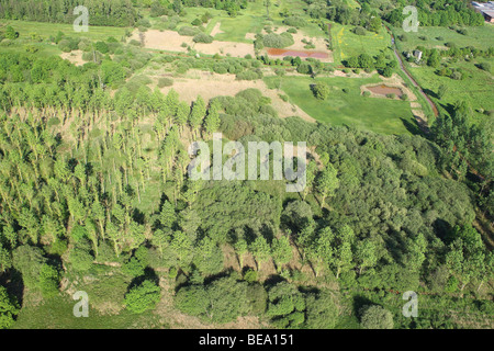 Superficie boschiva, zone umide e reedland dall'aria, Demerbroeken riserva naturale, Belgio Foto Stock