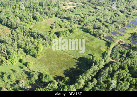 Superficie boschiva, zone umide e reedland dall'aria, Demerbroeken riserva naturale, Belgio Foto Stock