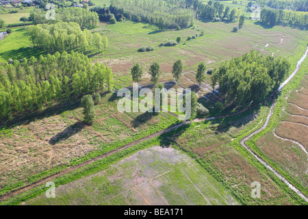 Le zone umide e reedland dall'aria, Demerbroeken riserva naturale, Belgio Foto Stock