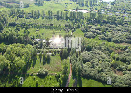 Superficie boschiva, zone umide e reedland dall'aria, Demerbroeken riserva naturale, Belgio Foto Stock