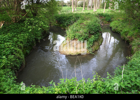 Meanderende rivier in bos Belgi Curling fiume nella foresta, Belgio Foto Stock