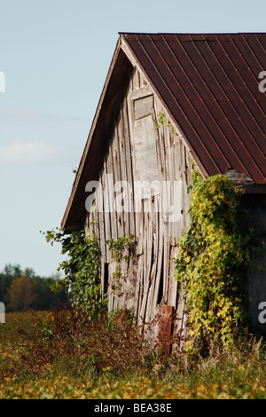 Abbandonate le attrezzature decrepito capannone in Southwestern Ontario Terreni agricoli Foto Stock