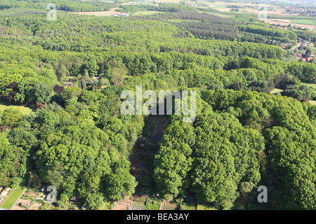 Bos vanuit de lucht, Belgi foresta mista dall'aria, Belgio Foto Stock