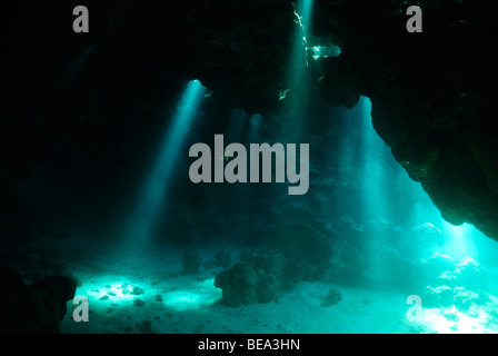 I raggi di luce corrente all'interno di una grotta sottomarina, Mar Rosso Foto Stock