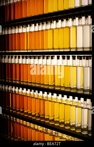 Cognac Camus (brandy francese) Foto Stock