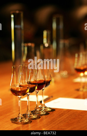 Cognac Camus (brandy francese) Foto Stock