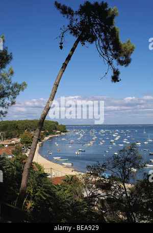 Baia di Arcachon (33): Piraillan Foto Stock