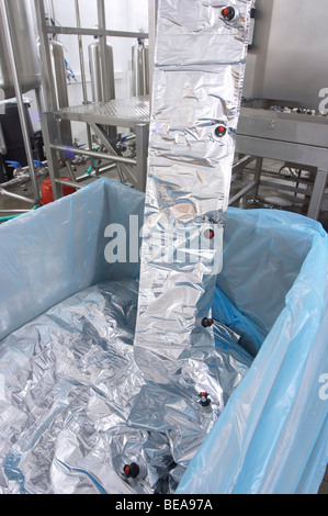 Linea di imbottigliamento di sacchetti per il bag in box adega cooperativa de borba Alentejo Portogallo Foto Stock