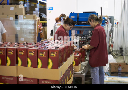 Linea di imbottigliamento di bag in box roquevale Alentejo Portogallo Foto Stock