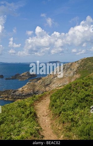 Dh LITTLE SARK SARK isola il sentiero sul sud del sentiero costiero Foto Stock