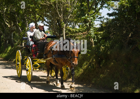 Dh SARK SARK isola turisti passeggiata horsedrawn trasporto isole del canale pony trap cavallo buggy Foto Stock