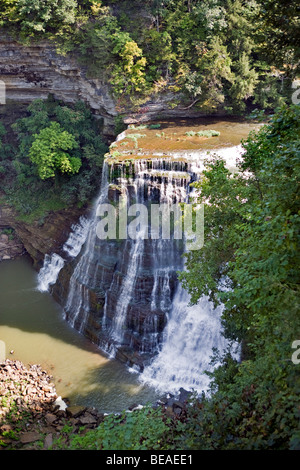 Burgess Falls parco dello stato del Tennessee vicino a Cookeville Foto Stock