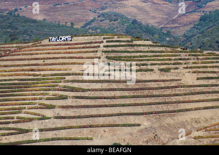 Vigneti di taylor segno vicino a vale de mendiz douro portogallo Foto Stock